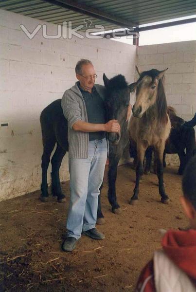 Paraje Los Palos | Despedidas de Soltero | Capeas | Montar a caballo | Bodas | Fiestas infantiles | Ejea | Zaragoza