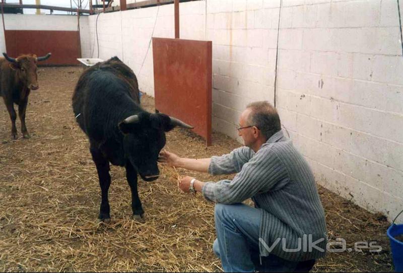 Paraje Los Palos | Despedidas de Soltero | Capeas | Bodas | Montar a caballo | Fiestas infantiles | Ejea | Zaragoza