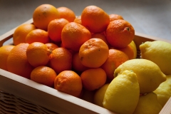 Lotes combinados naranjas y limones, 10 15 y 20 kilos