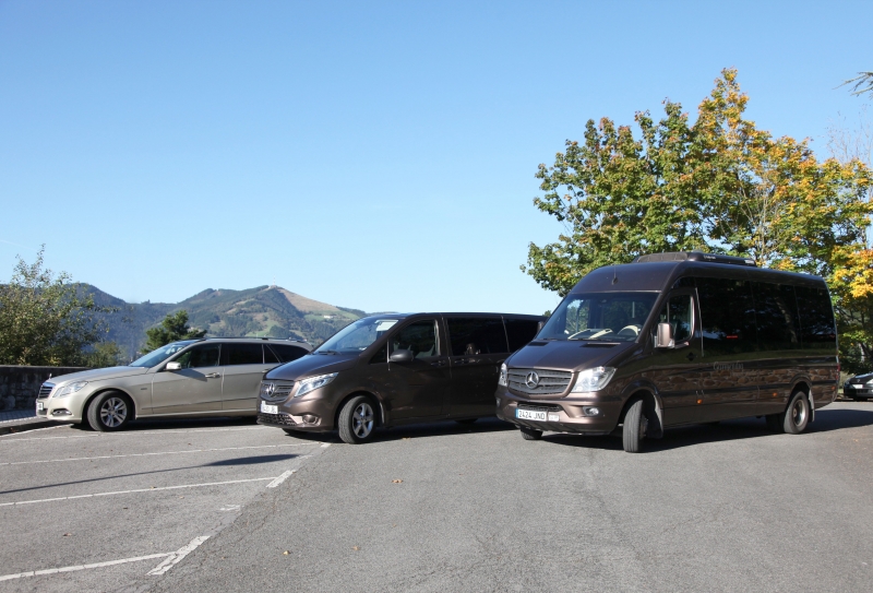 Minibus Mercedes sprinter Luxury.Chofer con Ingles