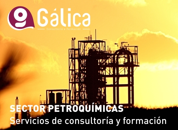 Servicios de consultoria y formacin para el sector de las petroquimicas