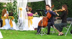 Artem: Musica para Bodas Civiles - Foto 2