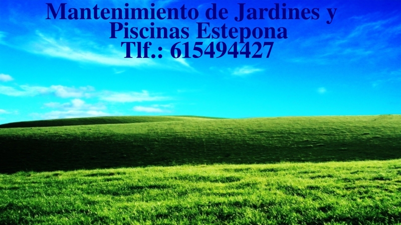 Jardinera Marbella, Mlaga, Estepona, Sotogrande, Benahavs. Mantenimiento Jardines y Piscinas