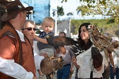 Euskal fauna sl - foto 19