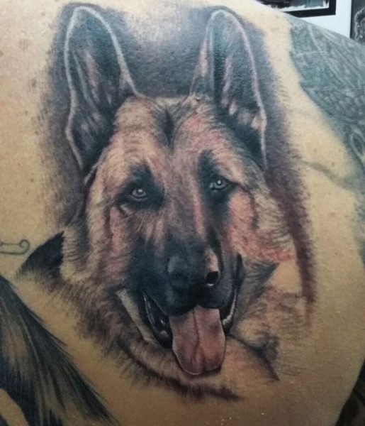 Tatuaje realista retrato pastor alemán 