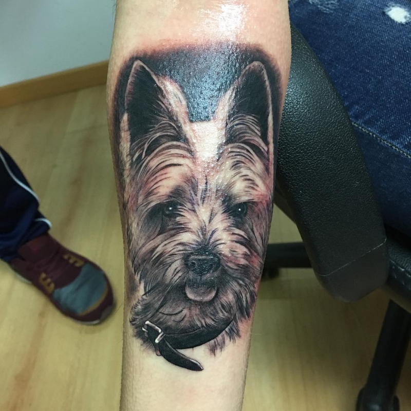 Tatuaje realista retrato de perro Yorskshire
