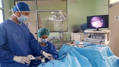 Cirugia de minima invasion castracion mediante laparoscopia