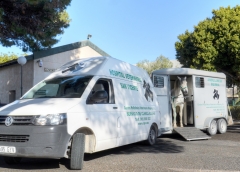 Servicio a domicilio veterinario caballos y ambulancia para transporte