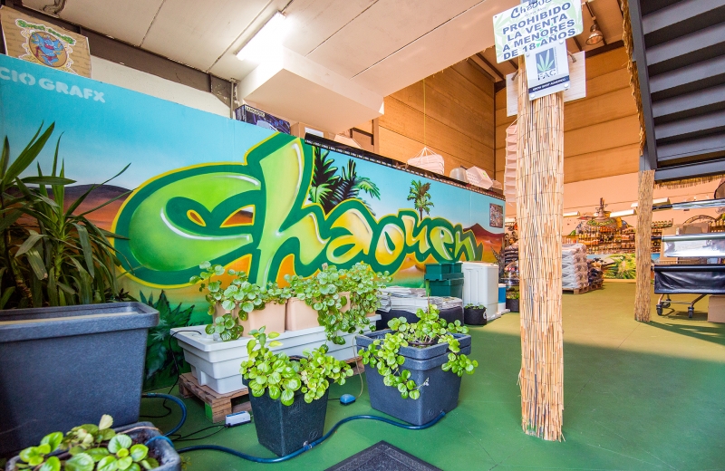 Chaouen Grow Shop Toledo