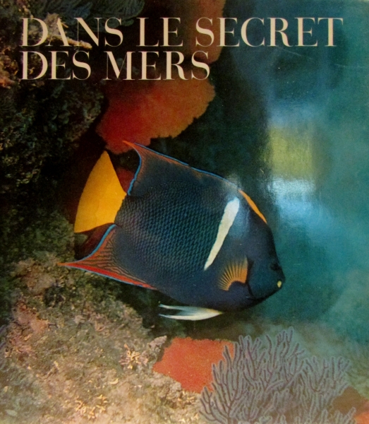 Dans Le Secret Des Mers - en francés