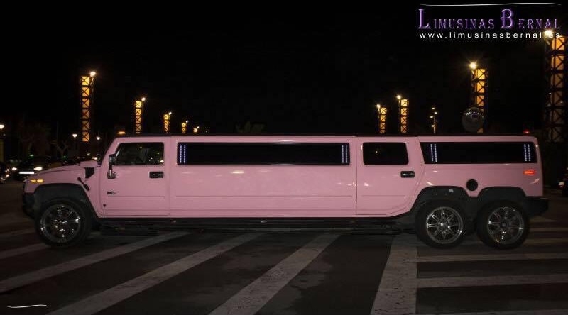 Hummer rosa