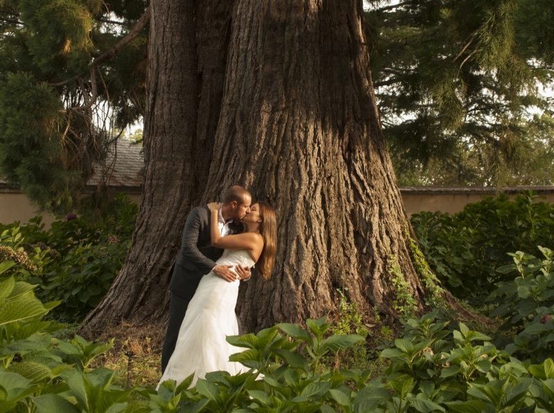 Majadahonda, San Lorenzo del Escorial,  Getafe, Fotgrafo, las Rozas, Goya, Fotgrafo boda, comunin