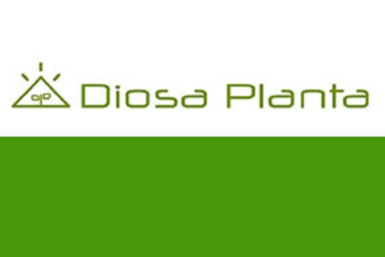 Diosa Planta