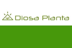 Diosa Planta - Foto 3
