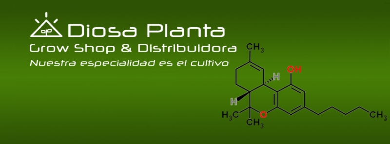 Diosa Planta