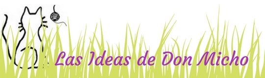 Las Ideas de Don Micho