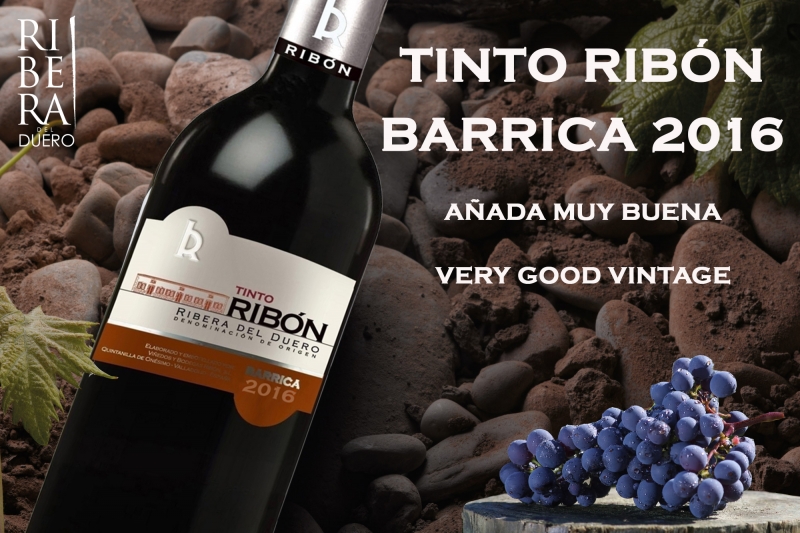 VIÑEDOS Y BODEGAS RIBON, S.L