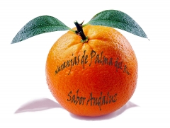 Naranjas de primera