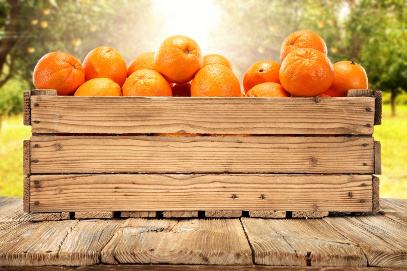 Naranjas de Palma del ro 