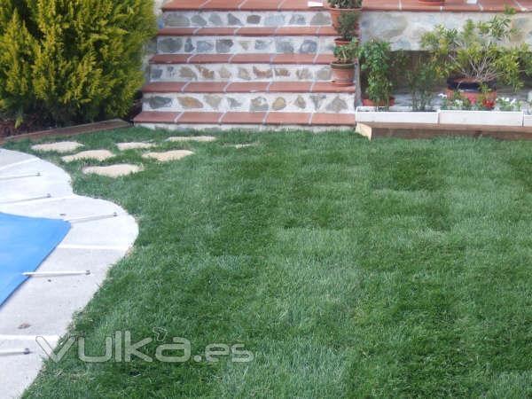 Realización de riego y pradera, trabajo con traviesa, plantación, recorte de planta y terminación de piscina con ...