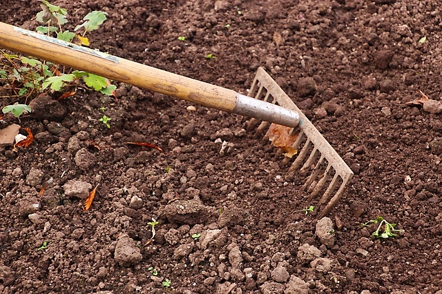 Para tu jardin lo mejor ,cuidalo y tenlo bonito.