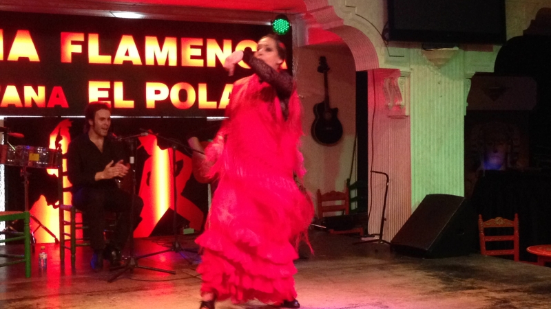 Flamenco Show