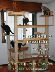 CocoDiseño