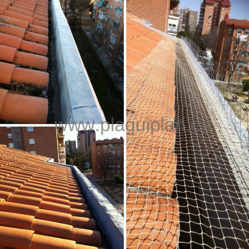 Canalón de aguas pluviales de un tejado con red anti palomas 