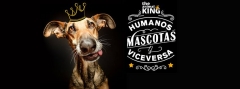 Foto 231 accesorios mascotas en Barcelona - The Aninal King