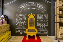 Foto 201 accesorios mascotas en Barcelona - The Aninal King