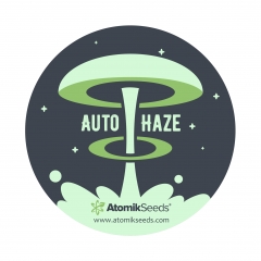 Buy Auto Haze autoflowering cannabis seed and shop in our online new store www.atomikseeds.com