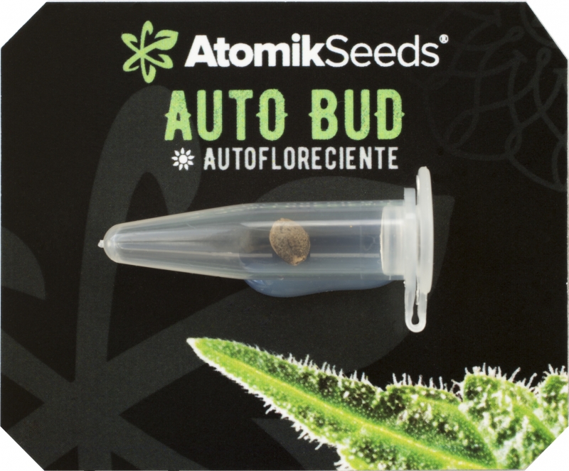 Buy Auto Bud autoflowering cannabis seed and shop in our online new store www.atomikseeds.com