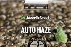 Comprar semilla autofloreciente de marihuana Auto Haze en nuestra nueva tienda online www,atomikseed