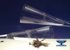 Copas de brindis para bodas