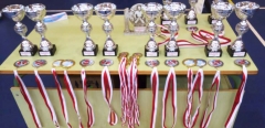 Medallas y trofeos varios modelos disponibles