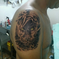 Blackpanther panteranegra