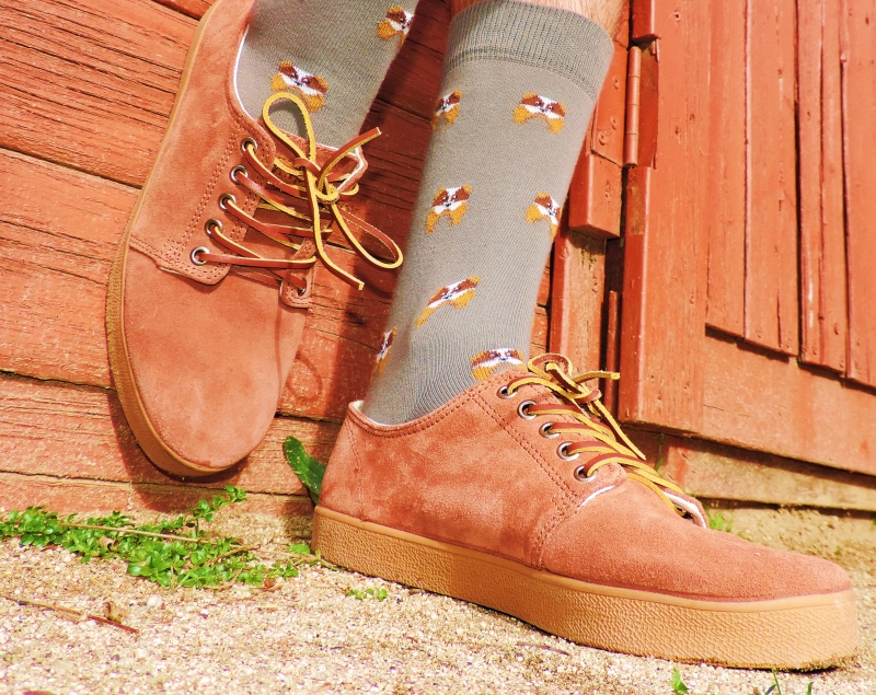 https://www.latribusocks.es/product-page/calcetines-bulldog-drako