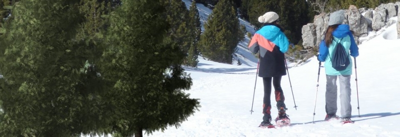 Guía y alquiler de raquetas de nieve en Port del Comte