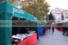 Carpa plegable qualytent 4,5x3m, para asociacion prodis con abertura total