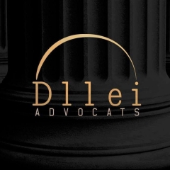 Dllei advocats - foto 14