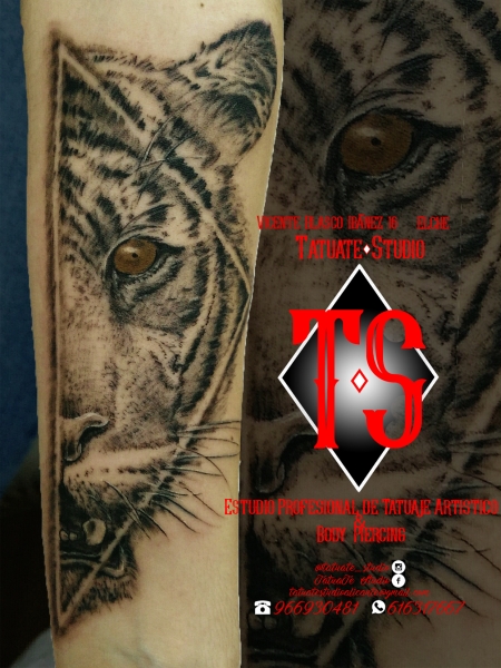 tatuajesenelche,estudiosdetatuajesenelche,tigre realista, tatuatestudio, tatuate studio elche,
