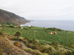 Mirador de san pedro los realejos taxi adaptado en tenerife