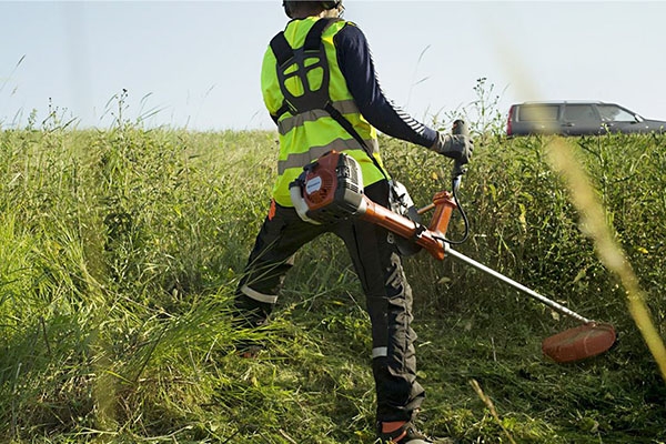 Curso Manejo y mantenimiento de maquinaria forestal ligera