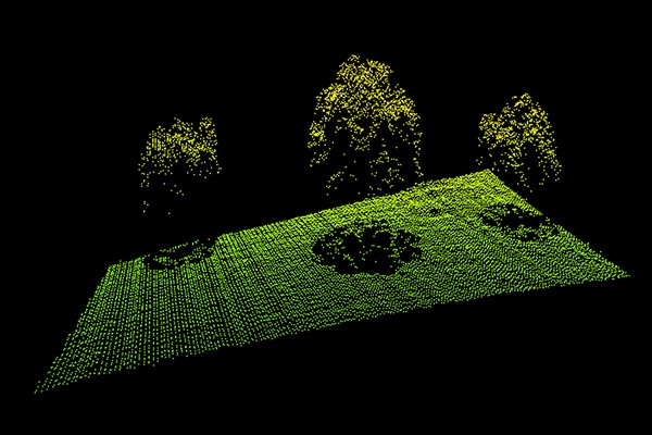 Curso Curso Ampliado de Inventario Forestal con tecnologa LiDAR 