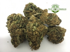 Telecogolloshop - flores de canamo industrial aromaticas