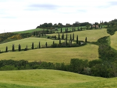 Toscana, belleza natural.