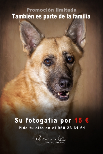 foto mascotas, recuerdalos