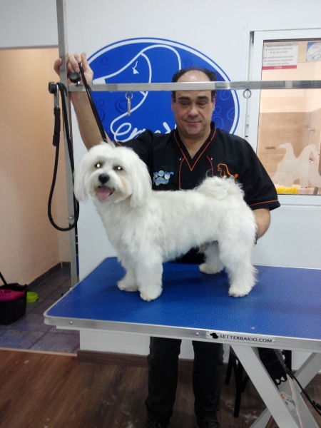 Peluquería Canina Enredos