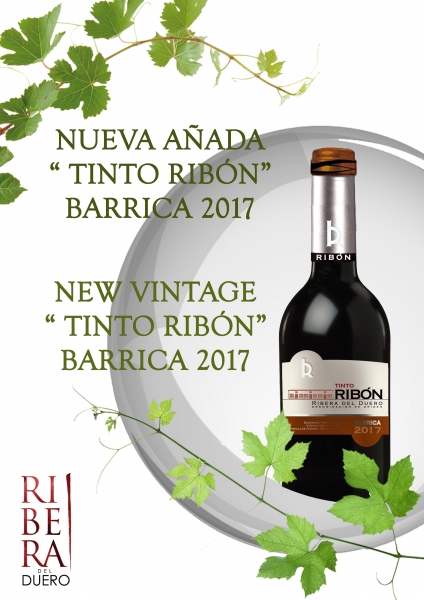 VIÑEDOS Y BODEGAS RIBON, S.L