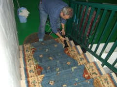 Limpieza alfombra 1